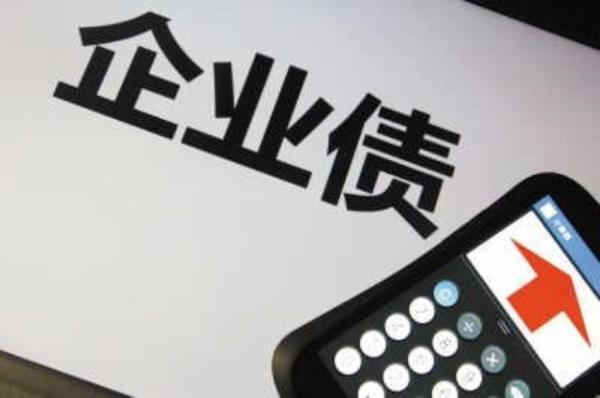 龙华薄膜拟发行3000万元公司债 -犀牛之星