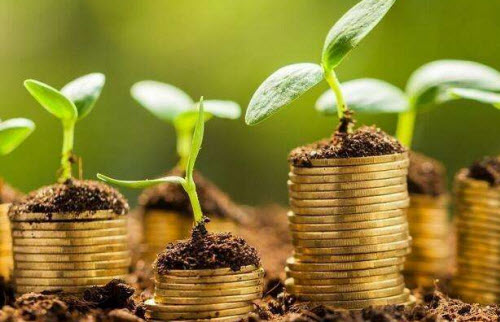 苏北花卉拟出资3500万设立PPP项目